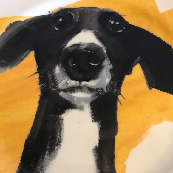 Anthropologie/SallyMuirDog-A-Day Plates - Purple - Picture 10 of 14